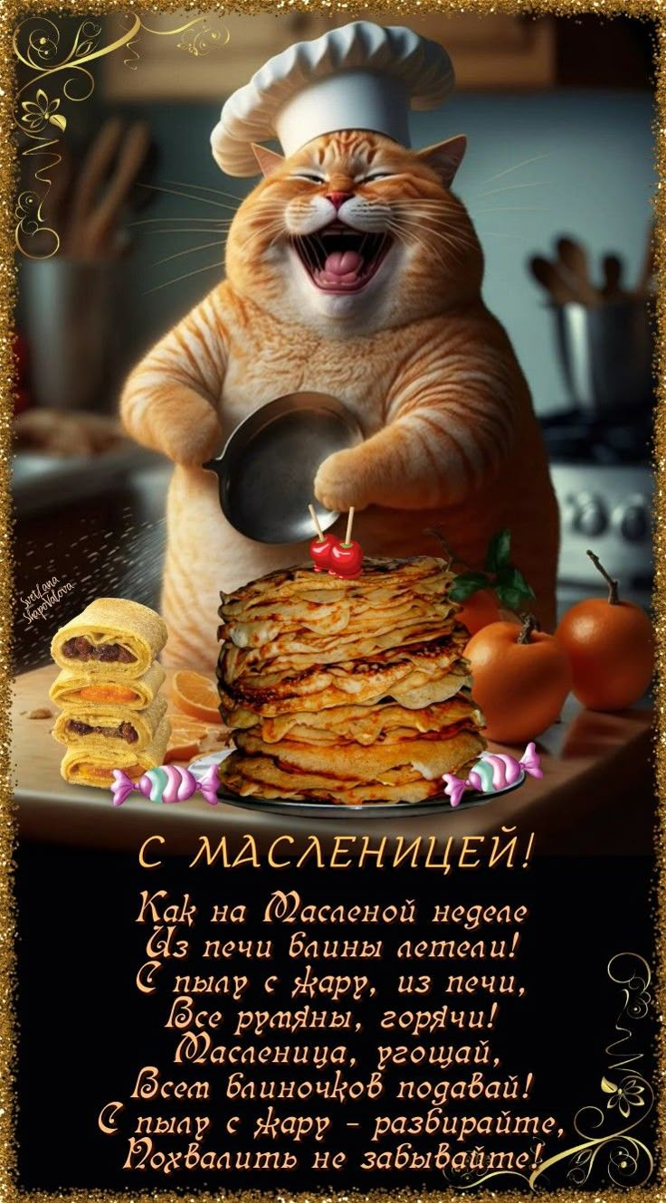 Кот ест блины на Масленицу